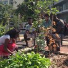 Announcing the exhibition Agrikultura