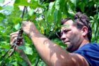 Tree of 40 Fruit grafting workshops
