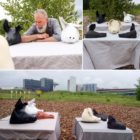 Pigs and Man interactive sound installation