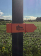 LOOK FOR THE ARROWS